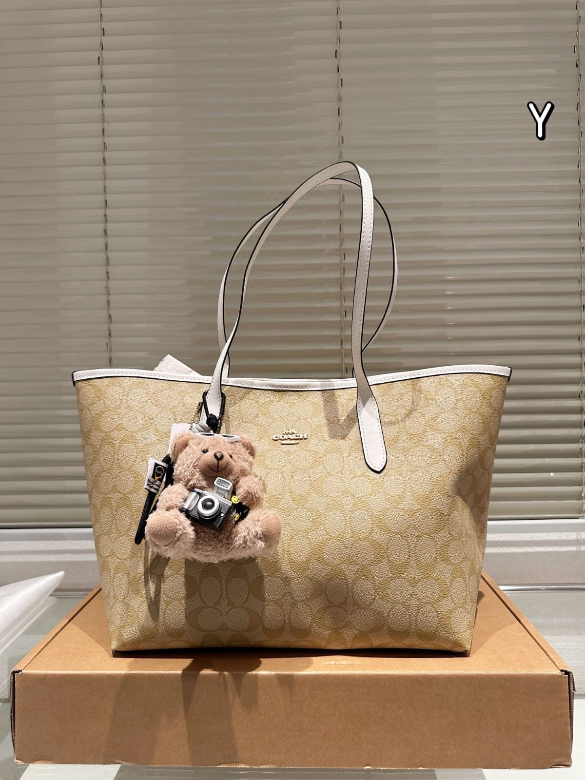 Coach inspired women luxury neverfull everyday bag (preorder only ) size 35x27cm