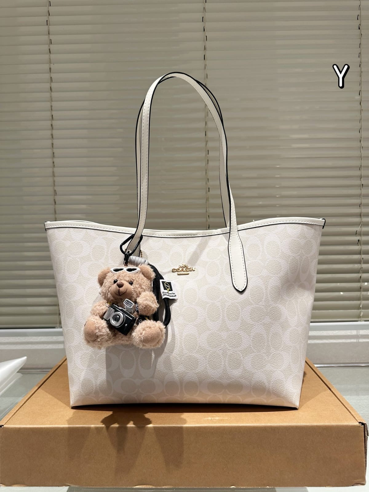 Coach inspired women luxury neverfull everyday bag (preorder only ) size 35x27cm