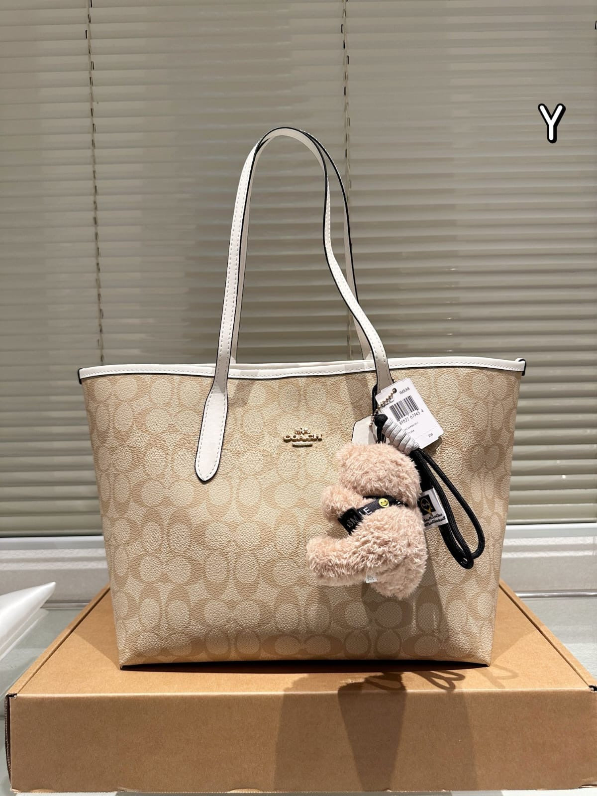 Coach inspired women luxury neverfull everyday bag (preorder only ) size 35x27cm