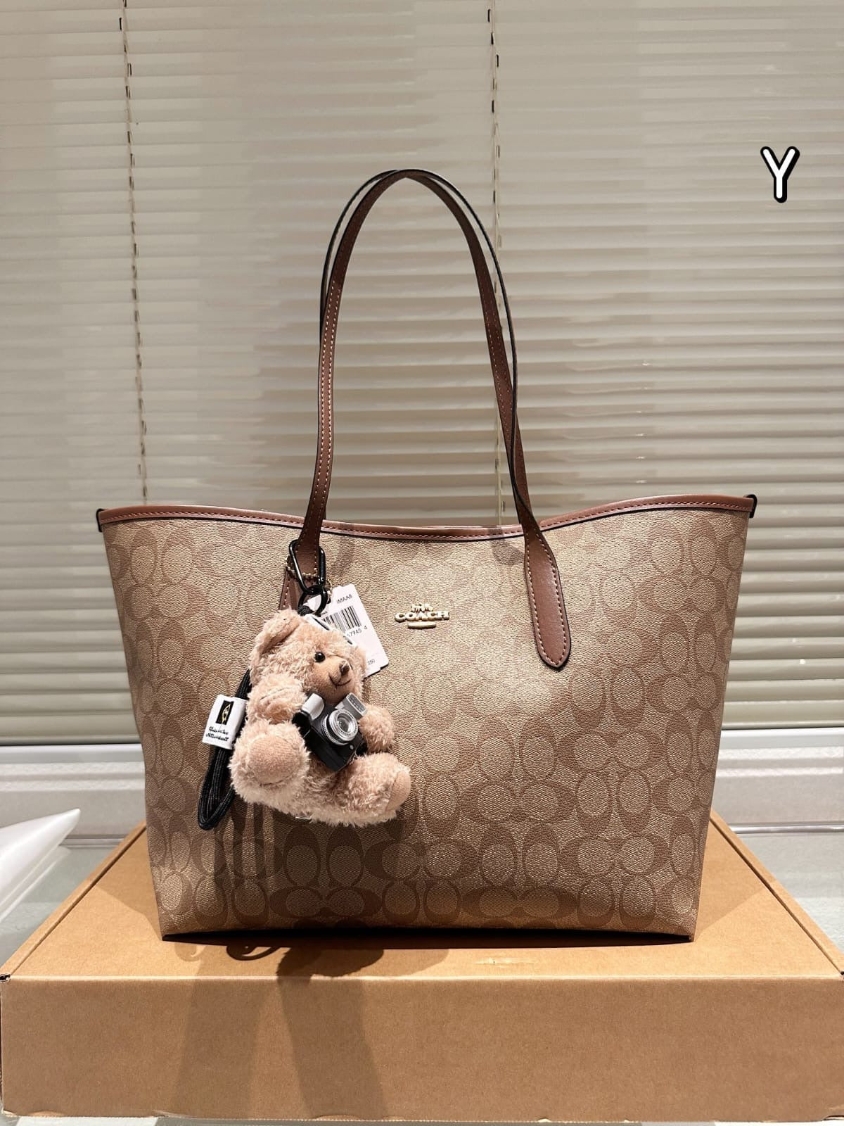 Coach inspired women luxury neverfull everyday bag (preorder only ) size 35x27cm