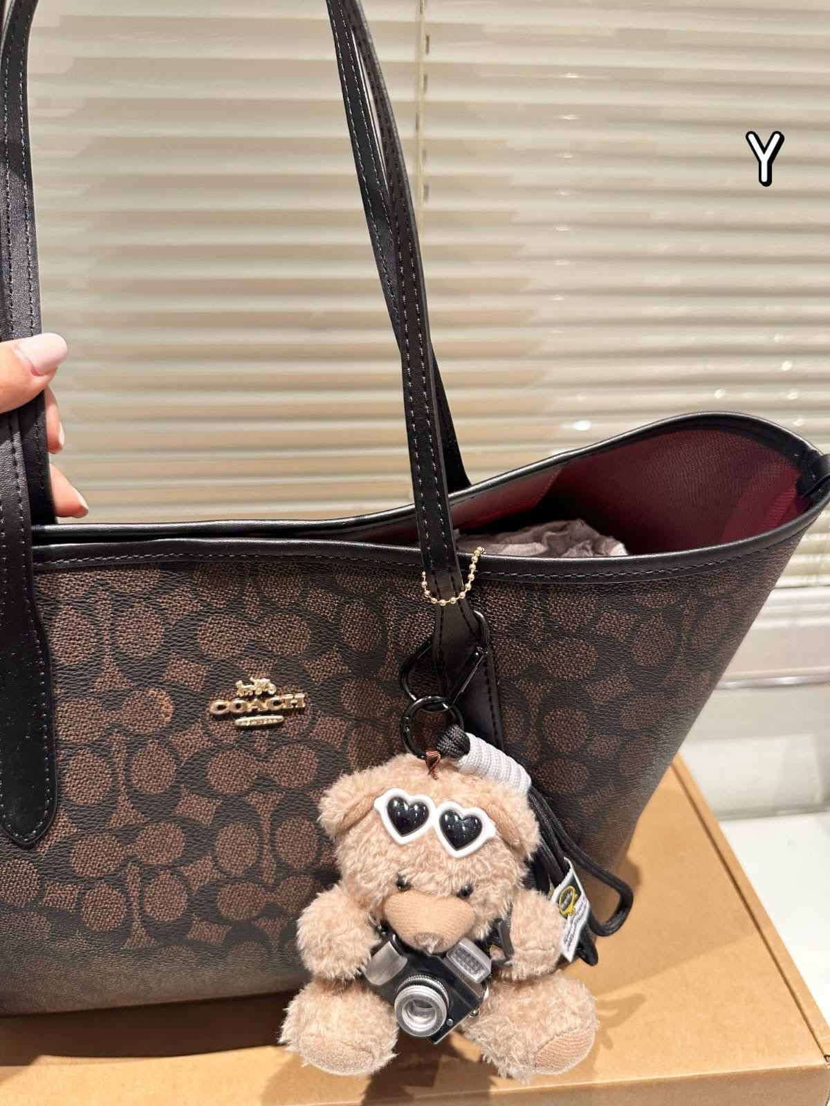 Coach inspired women luxury neverfull everyday bag (preorder only ) size 35x27cm