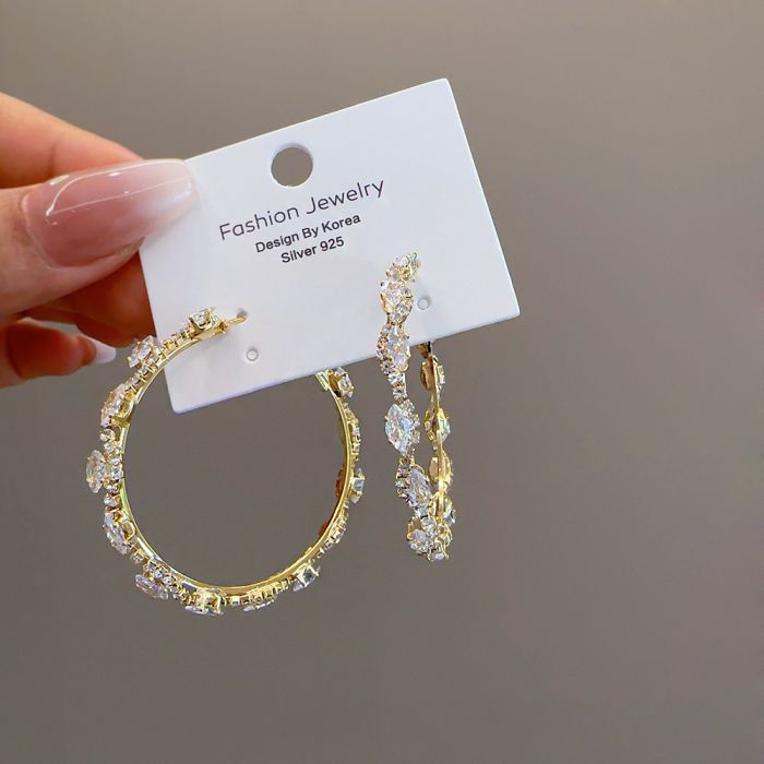 EUR254 Elegant Hoops Crystal Earrings in Silver