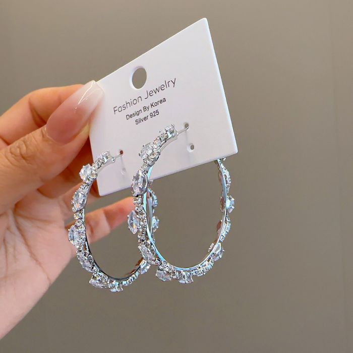 EUR254 Elegant Hoops Crystal Earrings in Silver